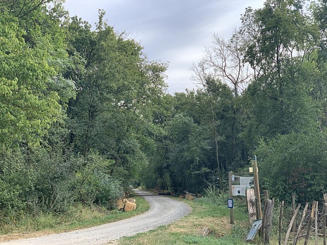 Veille Seille, Sermoyer