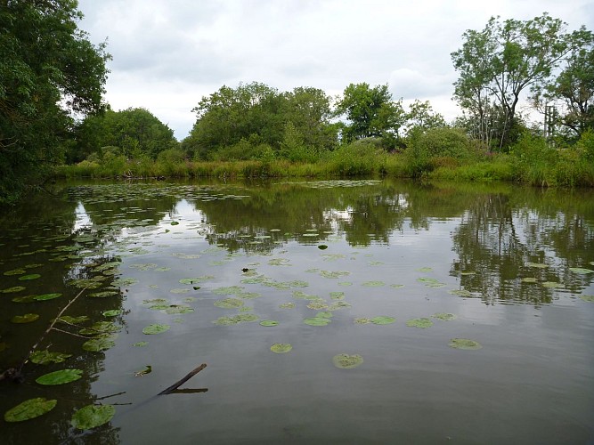 Veille Seille, Sermoyer