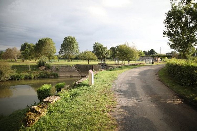 Le long de la Seille à la Truchère