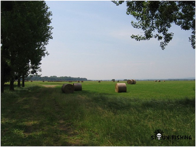 Veille Seille, Sermoyer