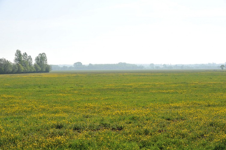 Circuit Sentier de l'évasion
