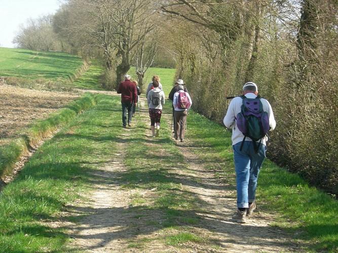 Circuit randonnée Les saveurs de la Bresse