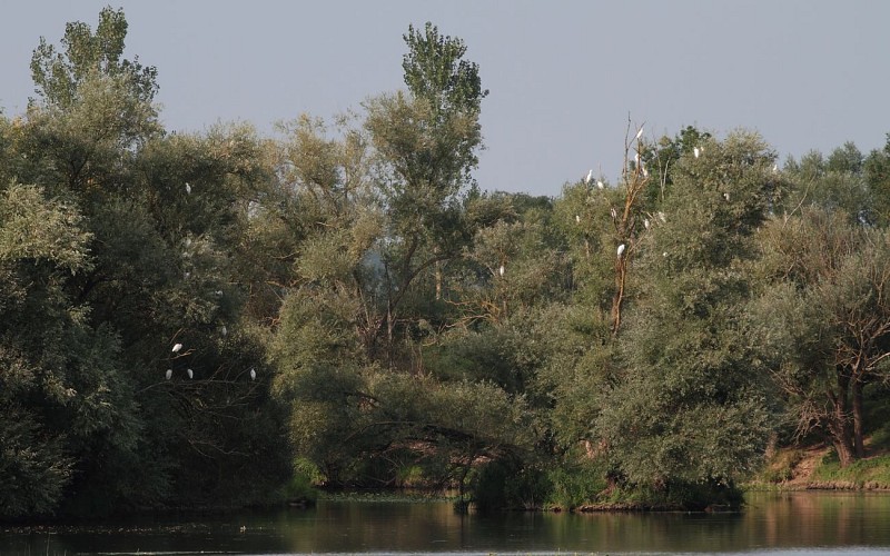 Circuit L'île de la Motte