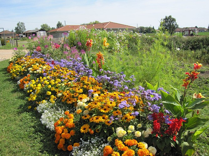 Circuit A la recherche des cheminées sarrasines