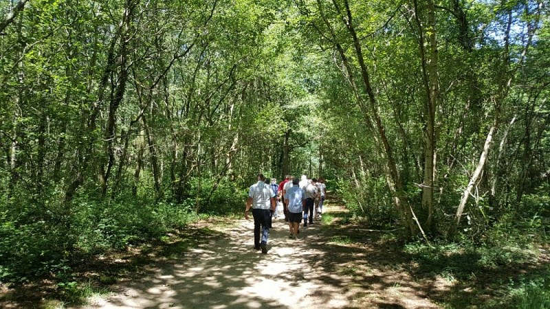 Circuit Chemin et bois