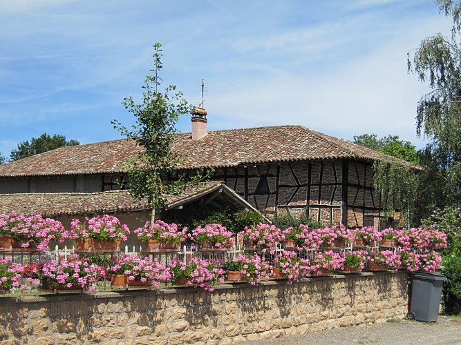 Circuit entre bois et rivière