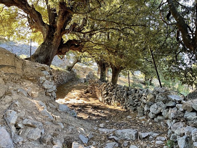 Trail 6 : Giru Belgudè - Pioggiola