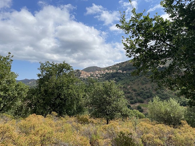 Trail 7 : Giru di a pieve di Tuani