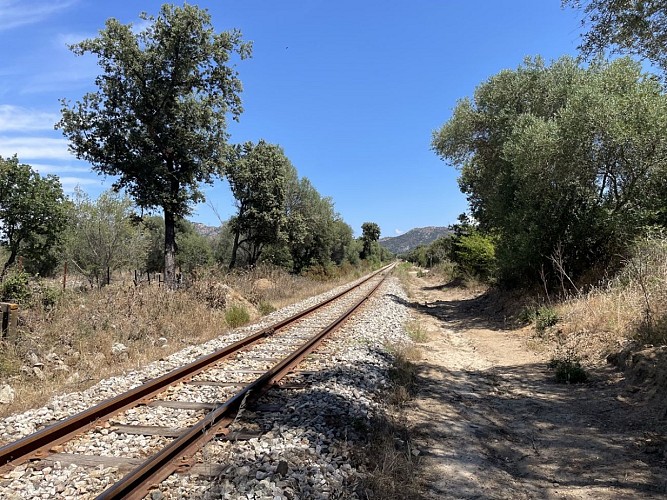 Trail 7 : Giru di a pieve di Tuani