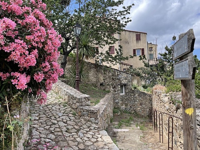 Trail 7 : Giru di a pieve di Tuani