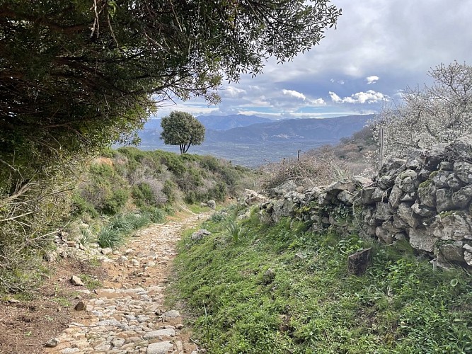 Trail 8 : Giru di u Sant'Anghjulu