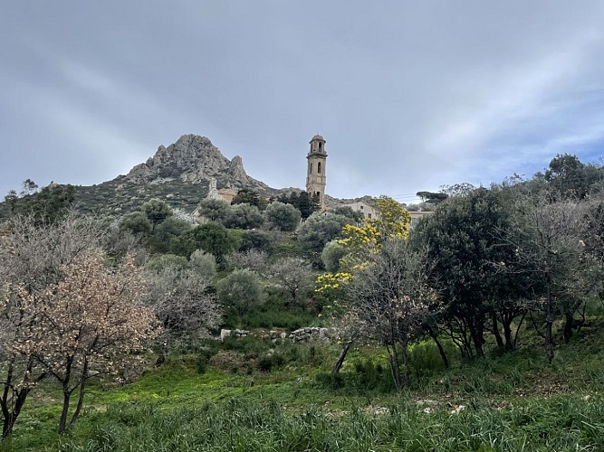 Trail 8 : Giru di u Sant'Anghjulu