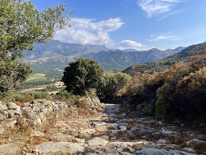 Trail 9 : Giru di u Capu Curbinu