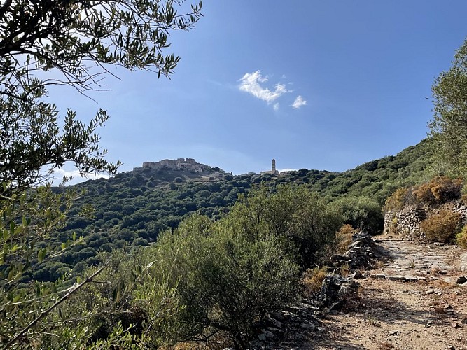 Trail 9 : Giru di u Capu Curbinu