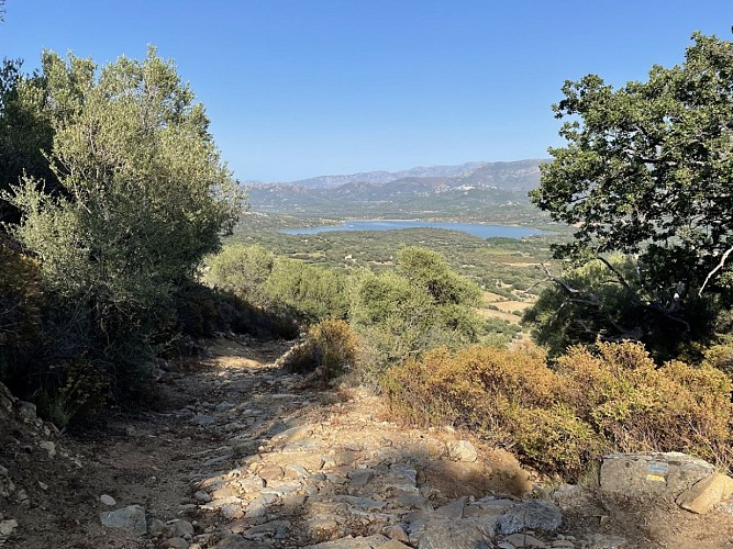 Trail 9 : Giru di u Capu Curbinu