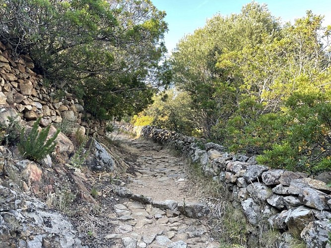 Trail 9 : Giru di u Capu Curbinu