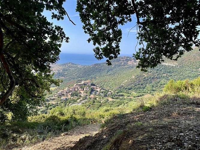 Trail 9 : Giru di u Capu Curbinu