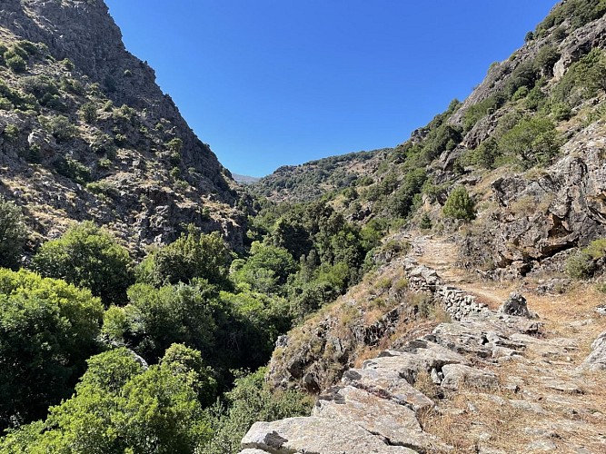 Trail 10 : Gorges du Francione