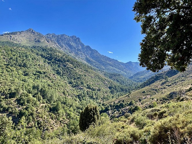 Trail 10 : Gorges du Francione