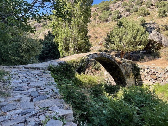 Trail 10 : Gorges du Francione