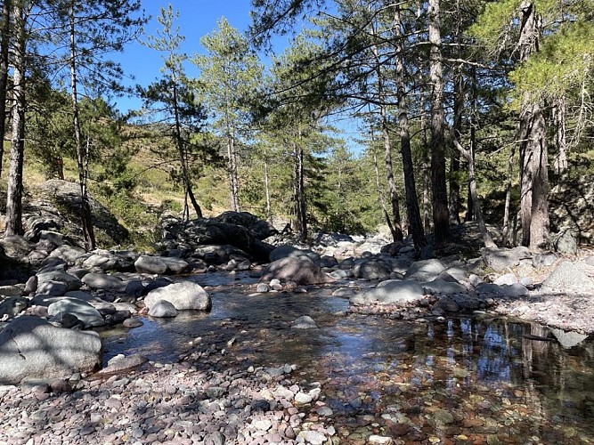 Trail 10 : Gorges du Francione
