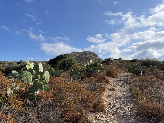 Trail 16 : Giru di a punta Liatoghju (L'Agriate)