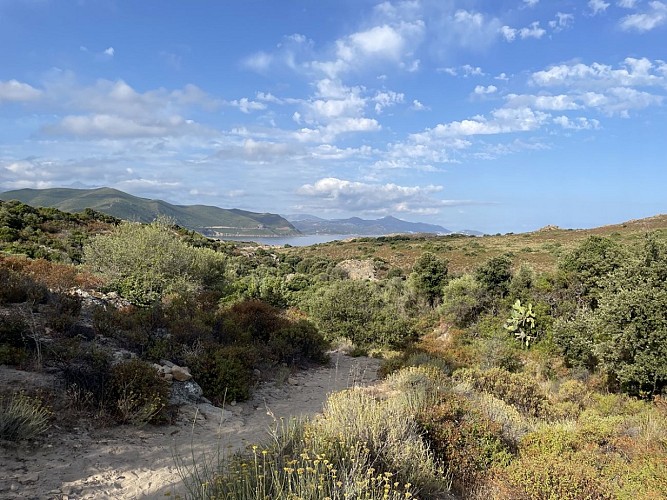 Trail 16 : Giru di a punta Liatoghju (L'Agriate)