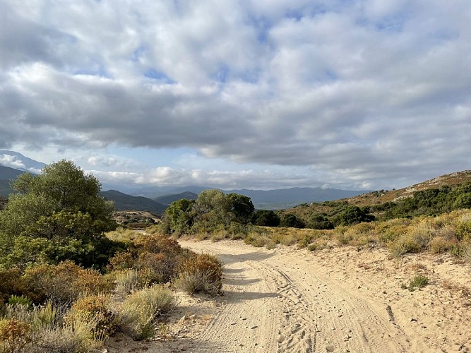 Trail 16 : Giru di a punta Liatoghju (L'Agriate)