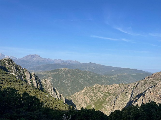 Trail 17 : Monte Astu