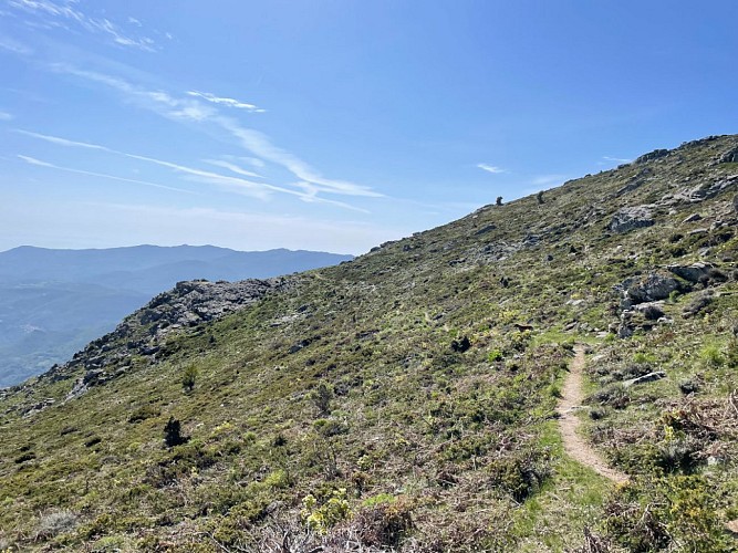 Trail 17 : Monte Astu