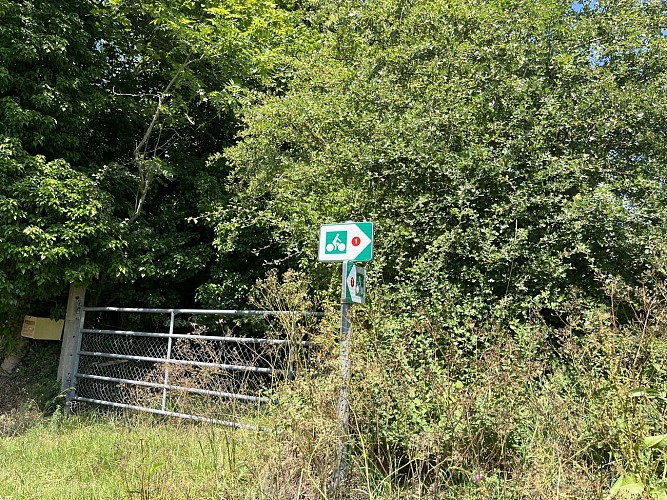image (5)