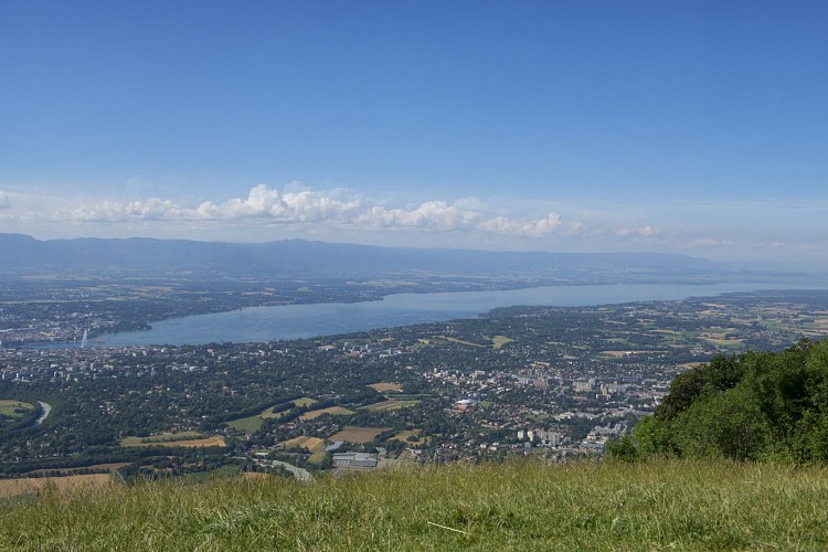 Balcon du Téléphérique - VTT