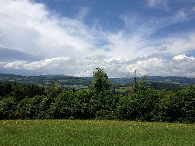 Vue du Beuvray depuis Moiron-Saint-léger-sous-Beuvray