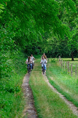 Vélo (Sortie été 2023)