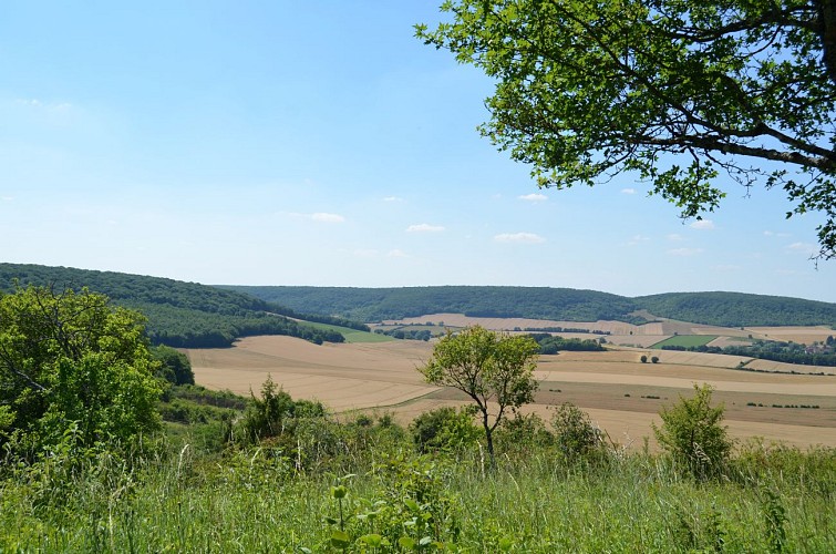 Panorama depuis la butte