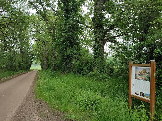 randonnee-parcours-decouverte-la-villeon-en-puisaye (3)