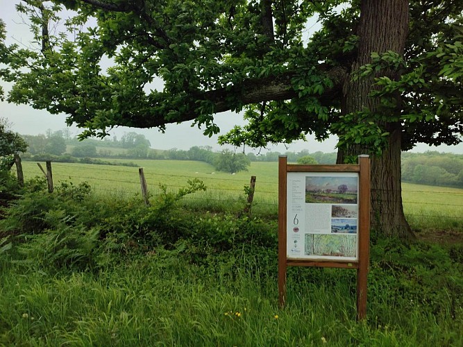 randonnee-parcours-decouverte-la-villeon-en-puisaye (1)