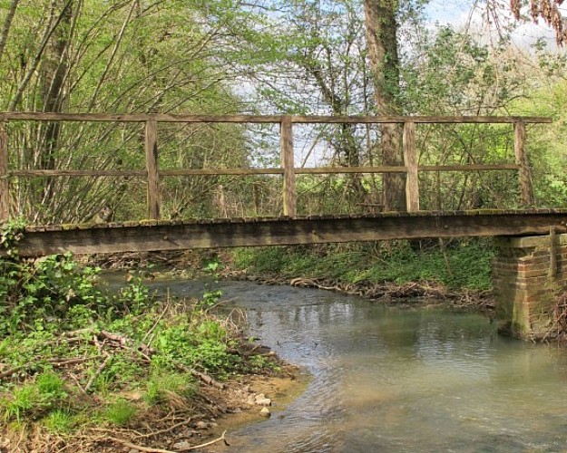 la-villéon-en-puisaye (4)