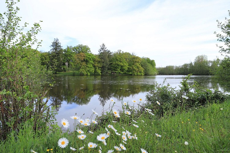 Etang de Pinet à Azy-le-Vif
