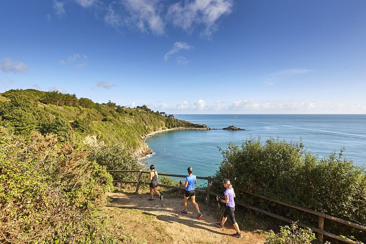 Entre Port, Plages et Forêt