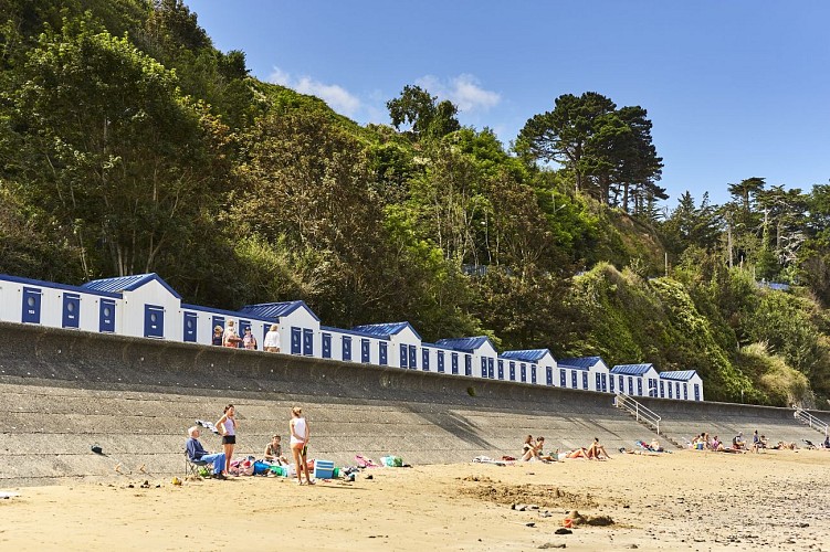 Entre Port, Plages et Forêt