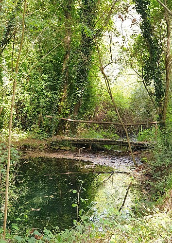 Site Naturel de Jû Belloc - Grande Boucle - Natura200