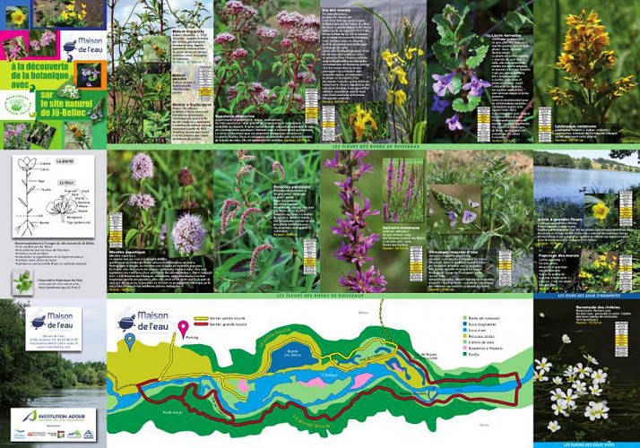 Site Naturel de Jû Belloc - Grande Boucle - Natura200