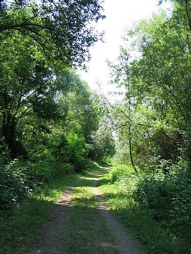 Site Naturel de Jû Belloc - Grande Boucle - Natura200
