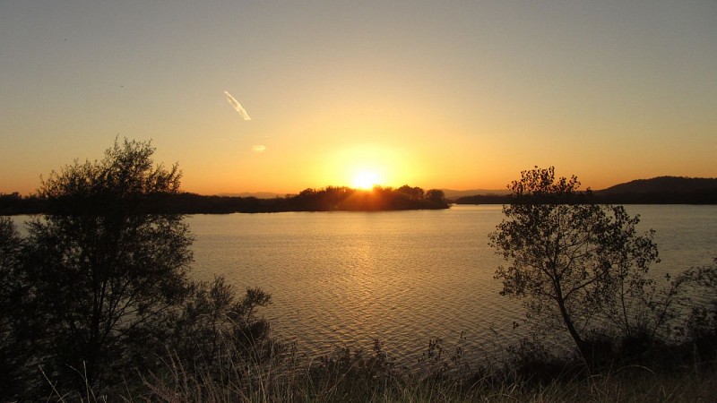 Parc Miribel-Jonage : 4 observatoires