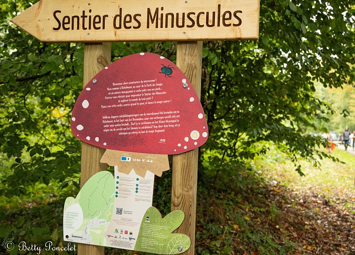 Sentier des minuscules