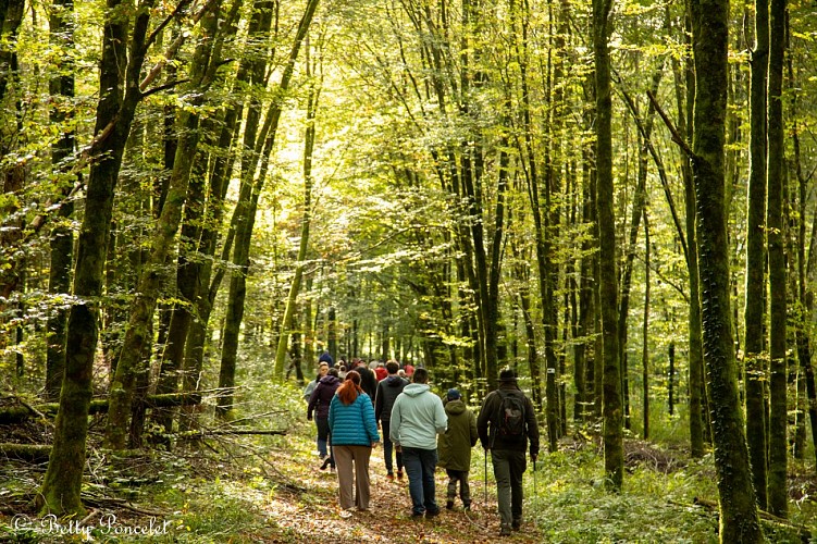 Sentier des minuscules