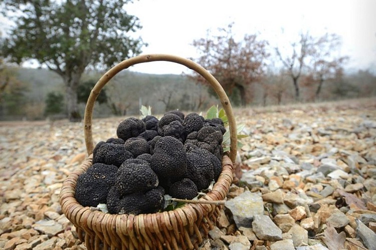 Panier truffes