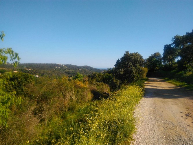 Vraiment facile à suivre, cette piste