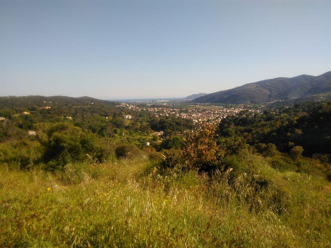 Une vue superbe vers la côte